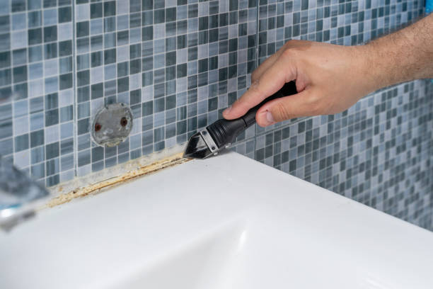 Mold Removal Process in Bethany, OR